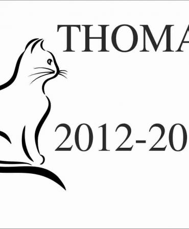 Placă comemorativă pentru animal de companie - pisică  PCM6-30x40x2 CM